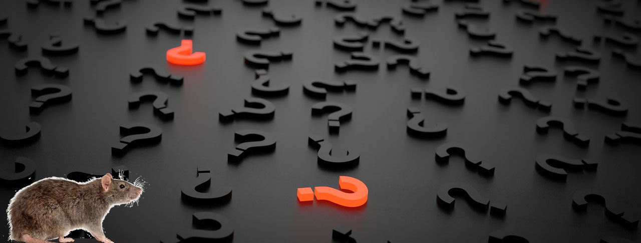 questions sur la 3D